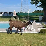 Iris Bed & Breakfast Modena