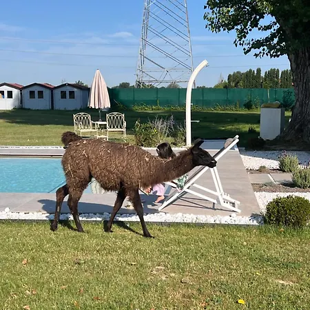 Iris Bed and Breakfast Μόντενα