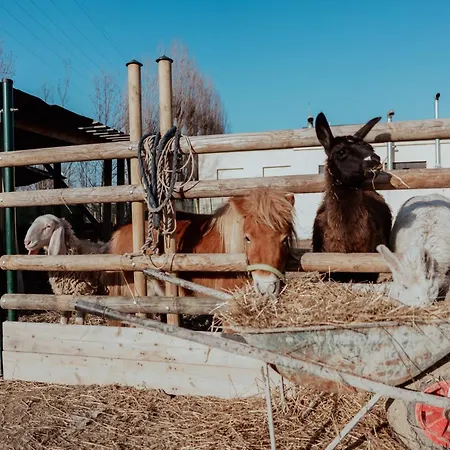 Alojamento de Acomodação e Pequeno-almoço Iris