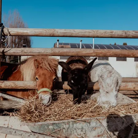 Iris Bed & Breakfast