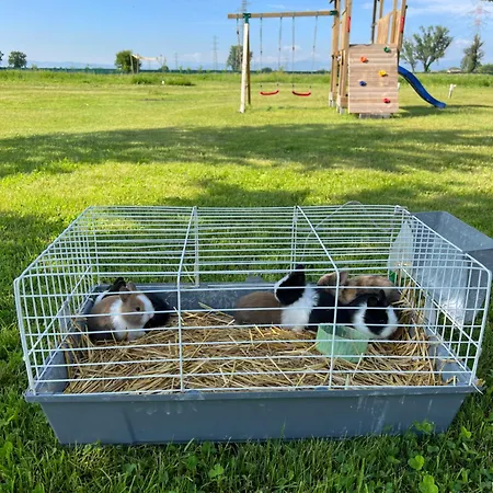 Iris Alojamento de Acomodação e Pequeno-almoço