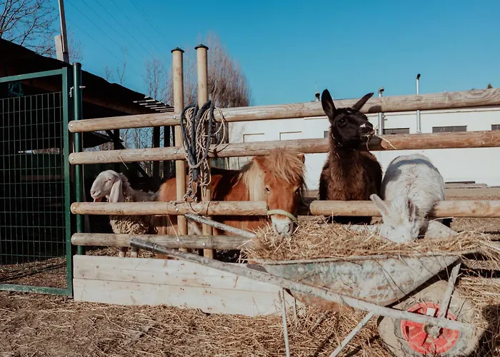 Frühstückspension Iris