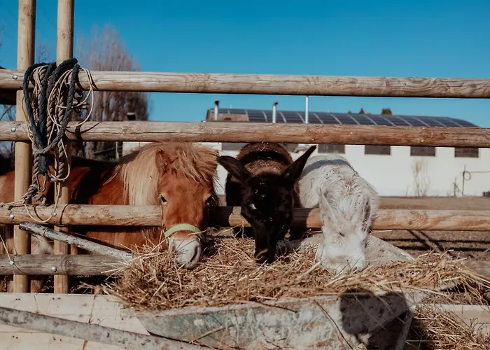 Iris Bed & Breakfast