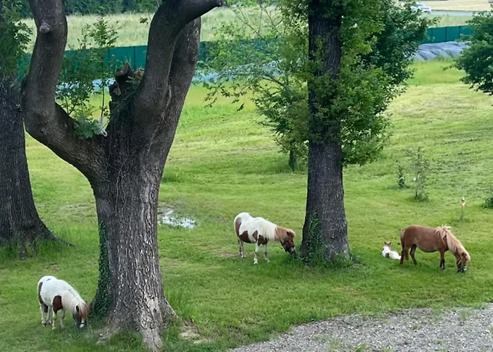 Bed & Breakfast Iris