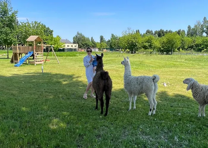 Bed & Breakfast Iris 4*