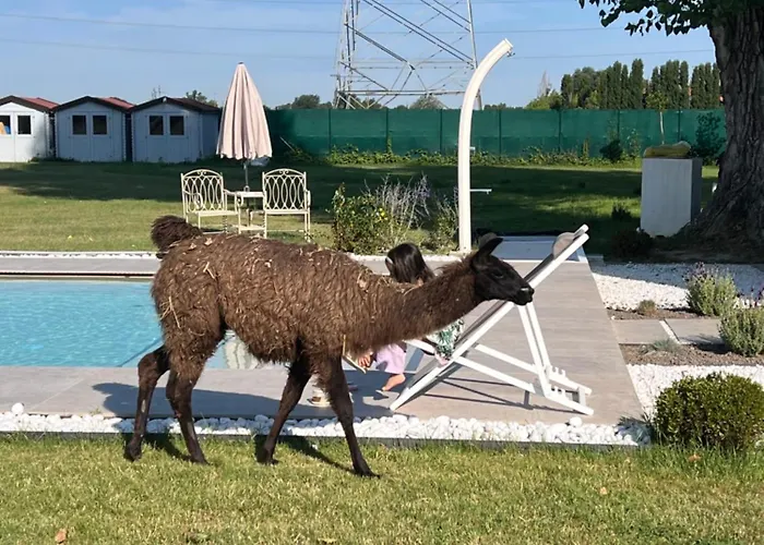 Iris Bed & Breakfast Modena