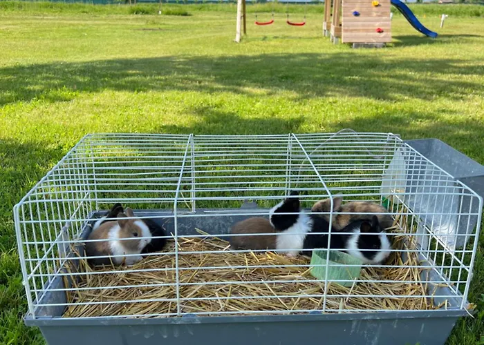 Iris Bed & Breakfast